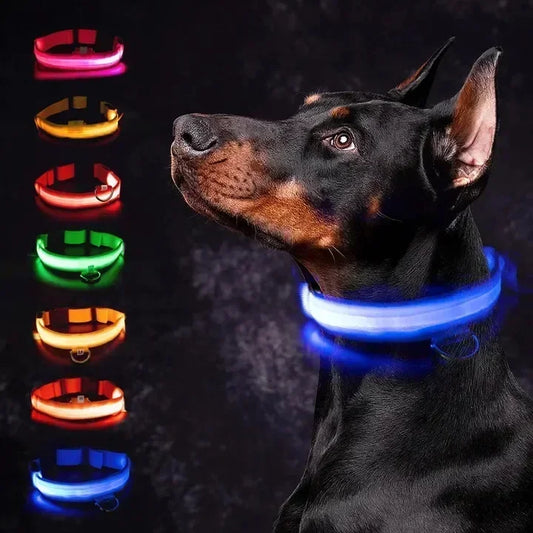LumiGlow Collar
