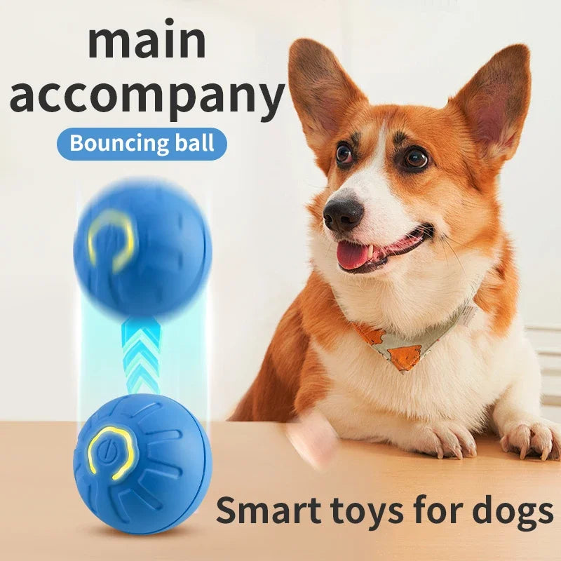 SmartPlay Motion Ball