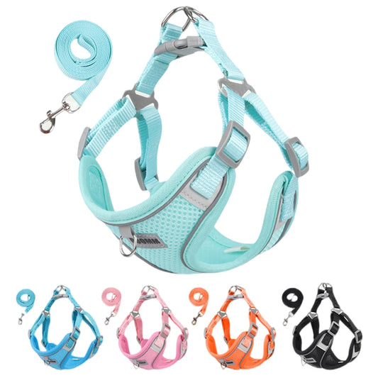 CloudComfort Harness Set